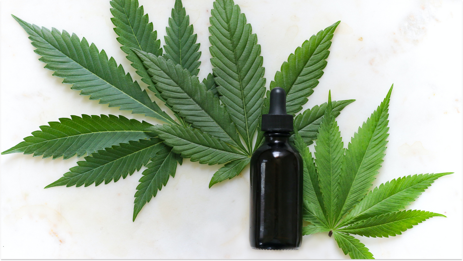 CBD for Beginners: Understanding Cannabidiol and Its Health Benefits