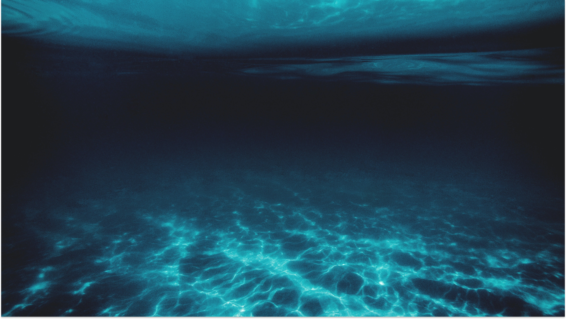 Unveiling the Sea's Treasure: Exploring the Benefits of CBD with Sea Minerals (Aquamin S)