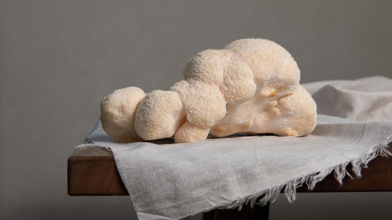 Mushrooms Unveiled: Exploring the Wonders of Lion's Mane and Tremella Mushroom