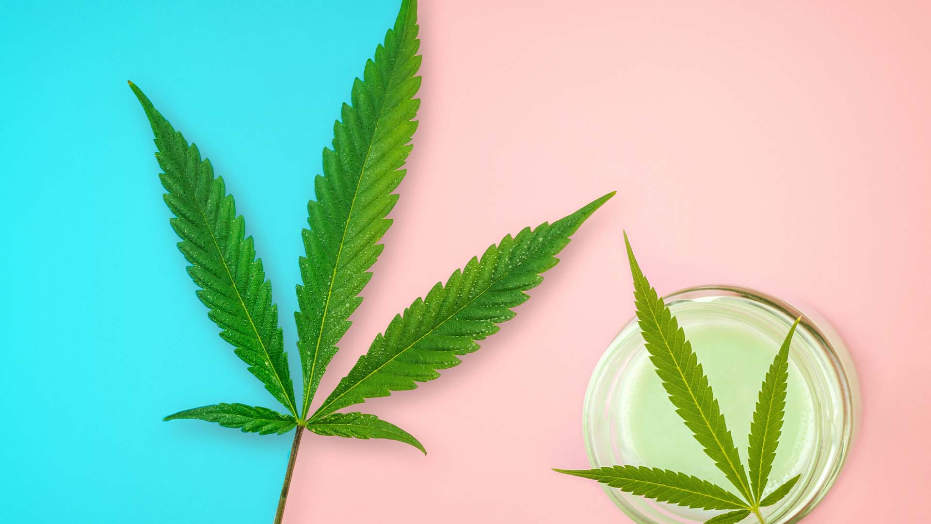 The Future of CBD: Emerging Trends and Innovations