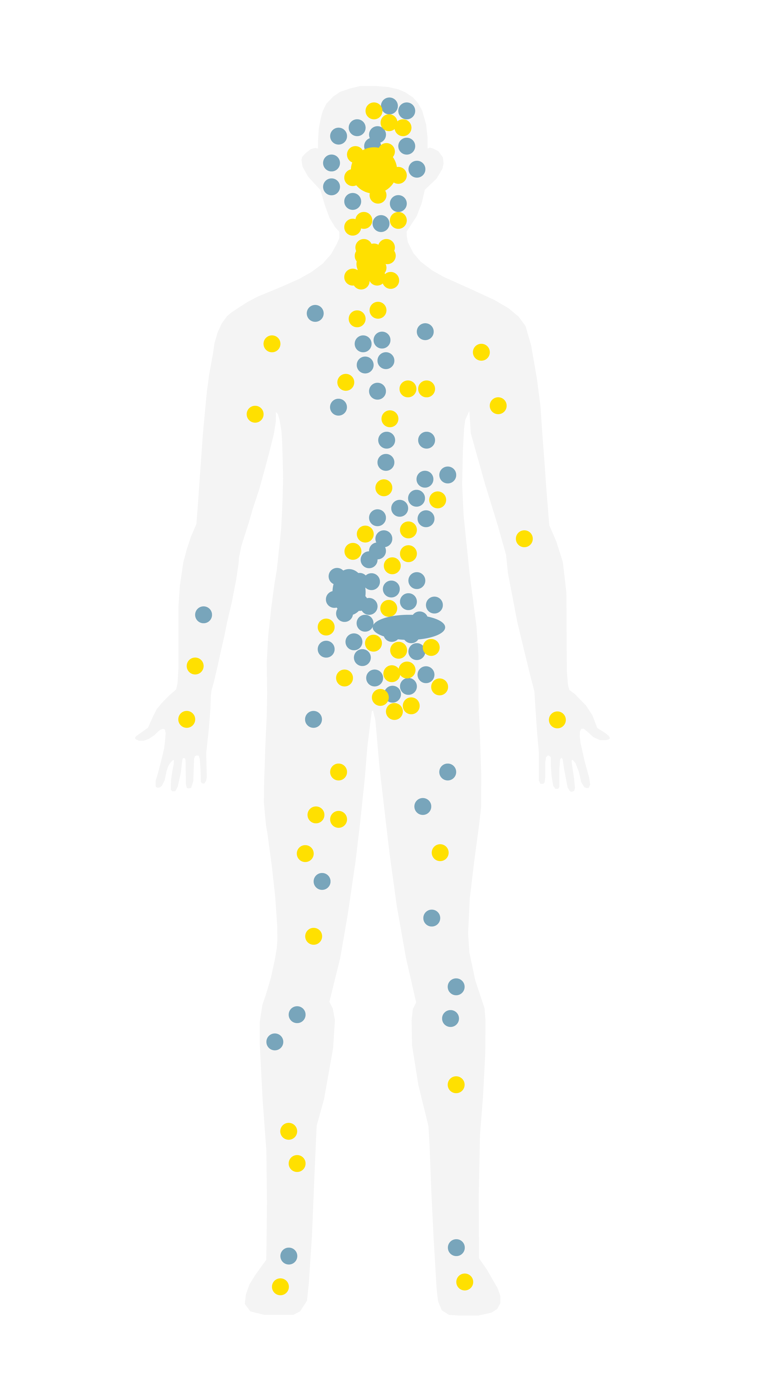 Graphic of the endocannabinoid system receptors in the human body